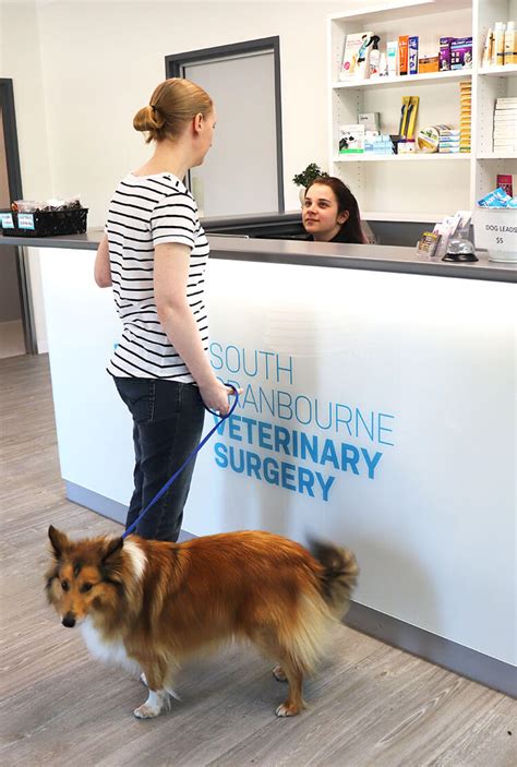 cranbourne veterinary clinic|South Cranbourne Vet Surgery: Quality Pet Care .